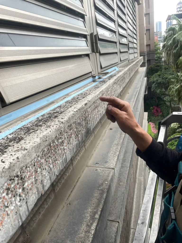 防水工程專案，新竹大直御花園矽利康防水